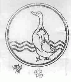 雄鸭