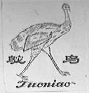 鸵鸟