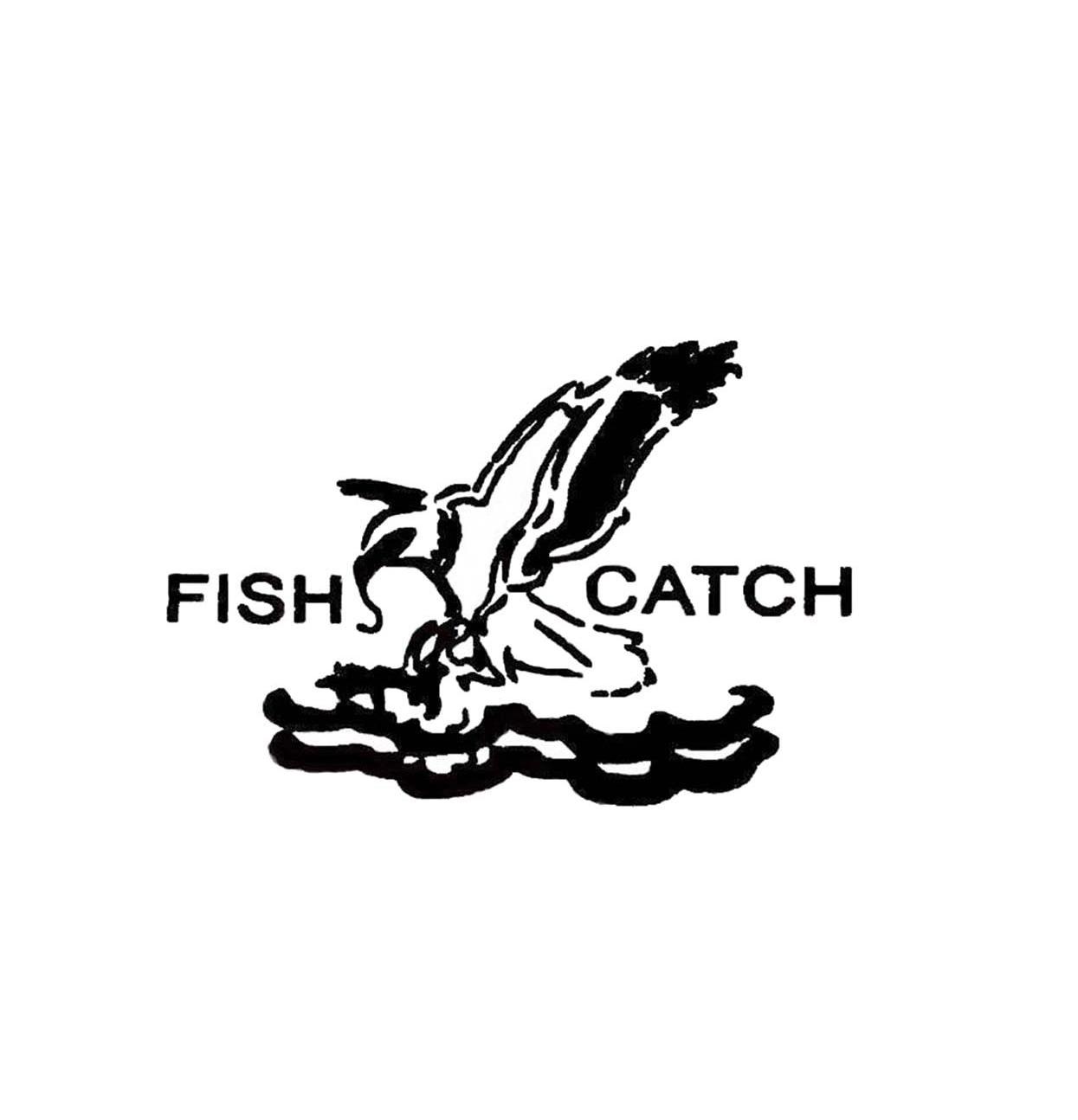 FISH CATCH