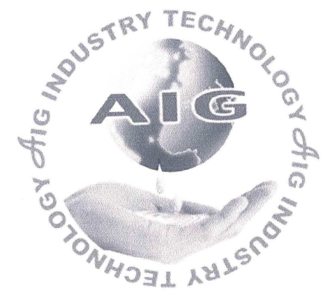 AIG;AIG INDUSTRY TECHNOLOGY