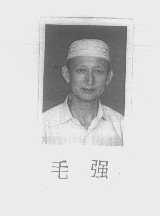 毛强
