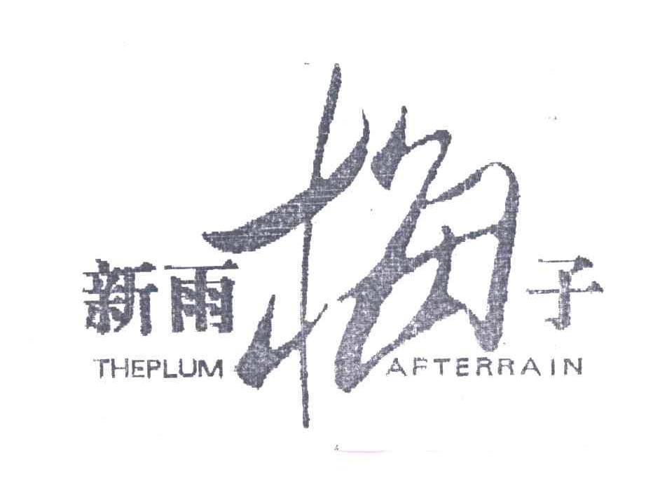 新雨梅子