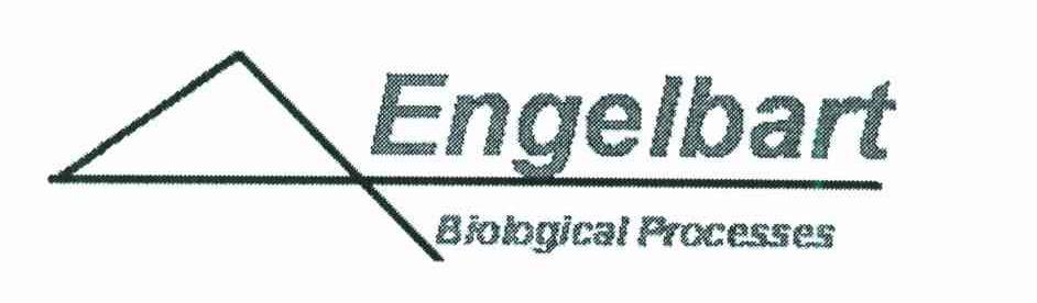ENGELBART BIOLOGICAL PROCESSES