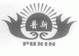 普新