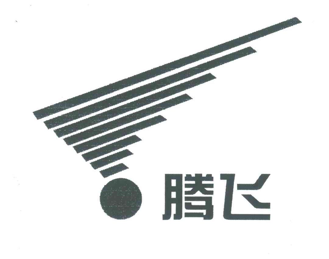 腾飞