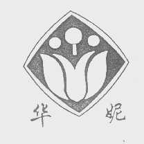 华妮