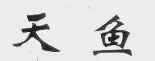 天鱼