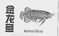金龙鱼 ARAWANA