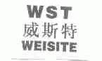 威斯特;WST