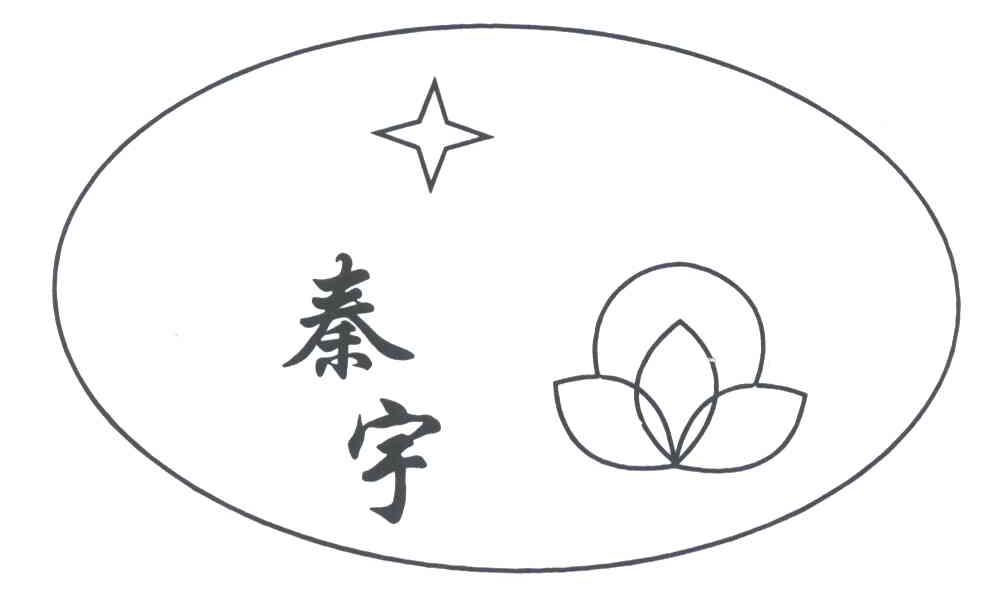 秦宇