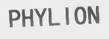 PHYLION