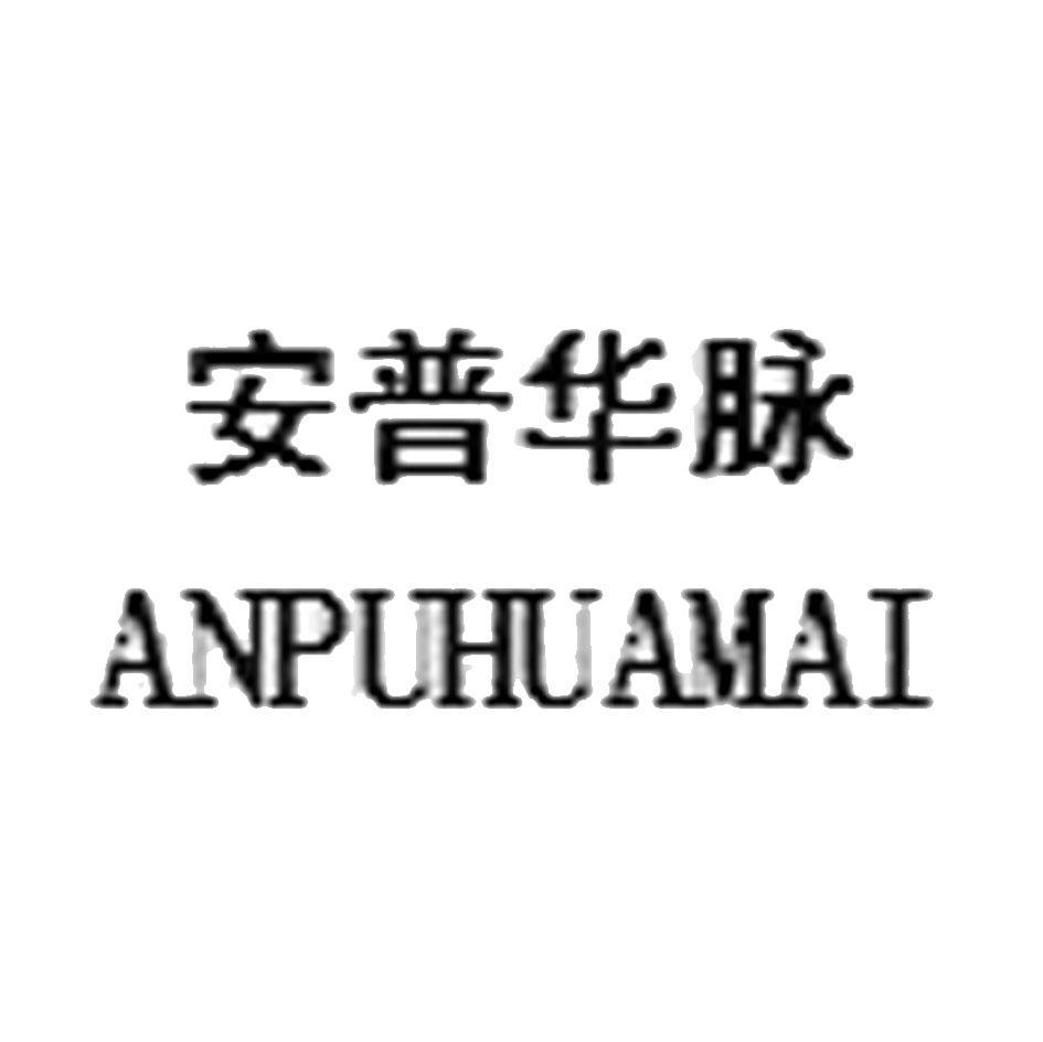 安普华脉