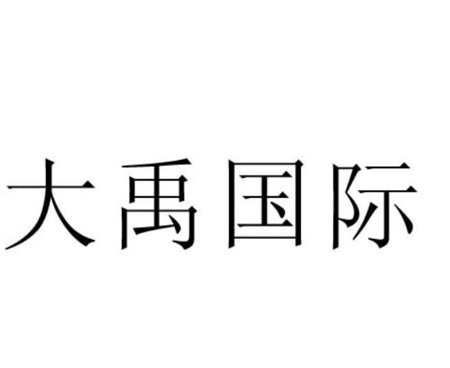 大禹国际