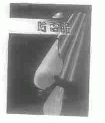 哈雷脆