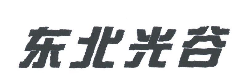 东北光谷