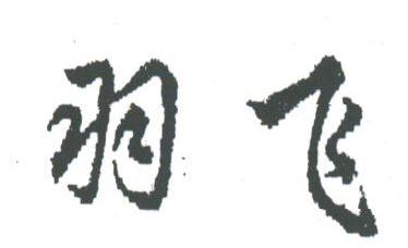 羽飞