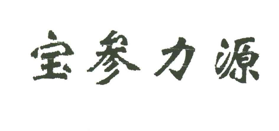 宝参力源