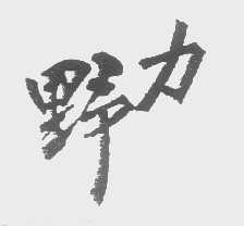 野力