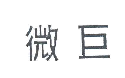 微巨