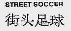 街头足球  TREET SOCCER