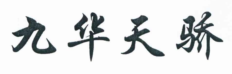 九华天骄