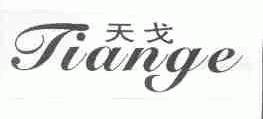 天戈