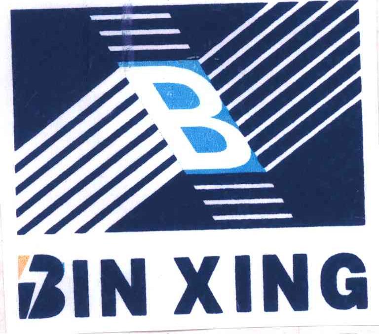 BIN XING