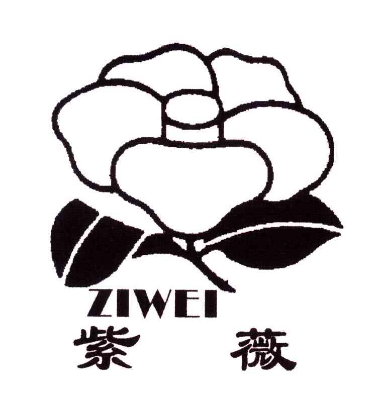 紫薇