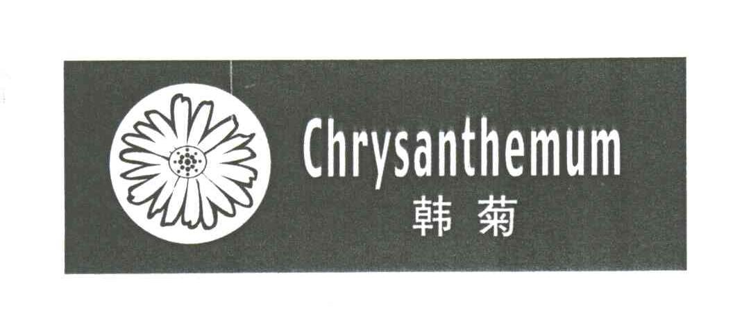韩菊;CHRYSANTHEMUM