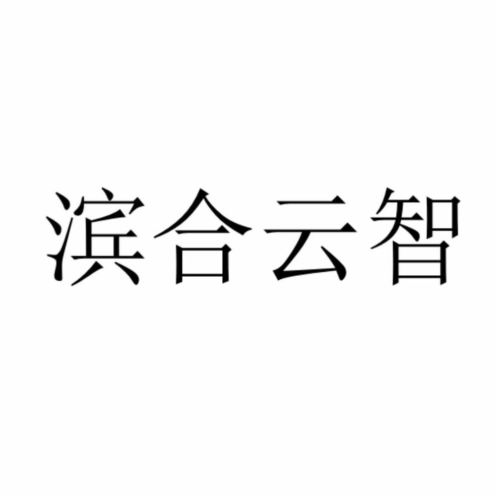 滨合云智