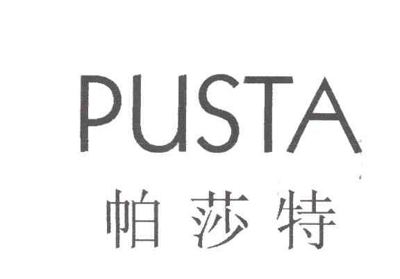 帕莎特;PUSTA