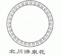 北川沸泉花