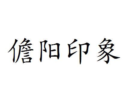 儋阳印象