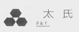太氏 F&T