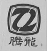 腾龙