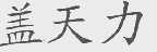 盖天力