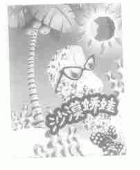 沙漠娇娃