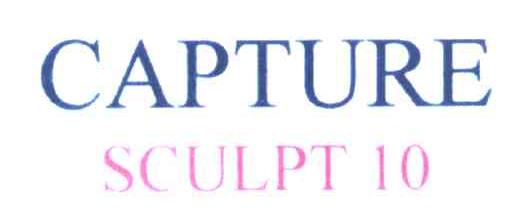 CAPTURE SCULPT;10