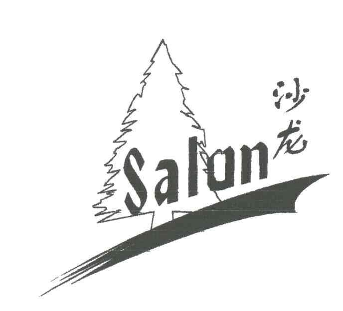 沙龙SALON