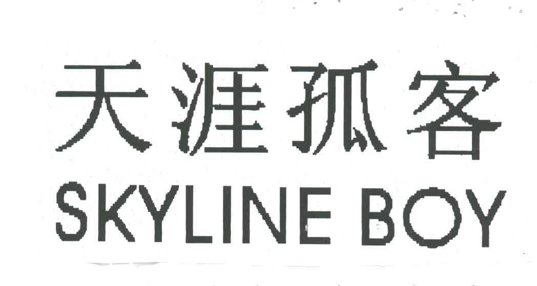 天涯孤客;SKYLINE BOY