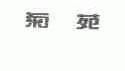 菊苑