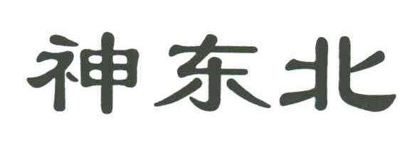 神东北