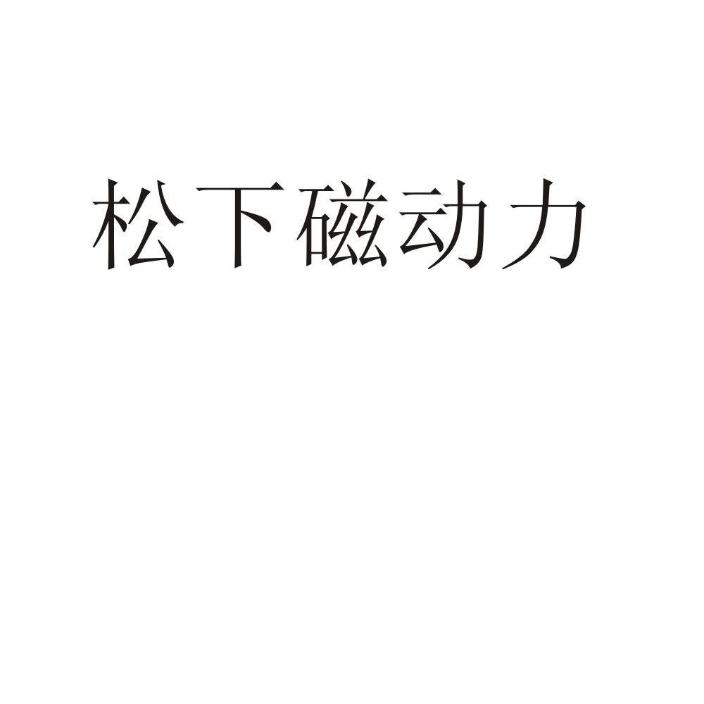 松下磁动力