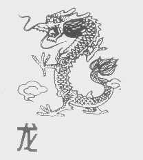 龙