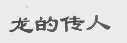 龙的传人