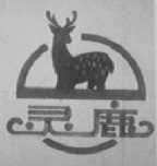 灵鹿