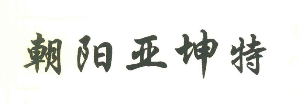 朝阳亚坤特