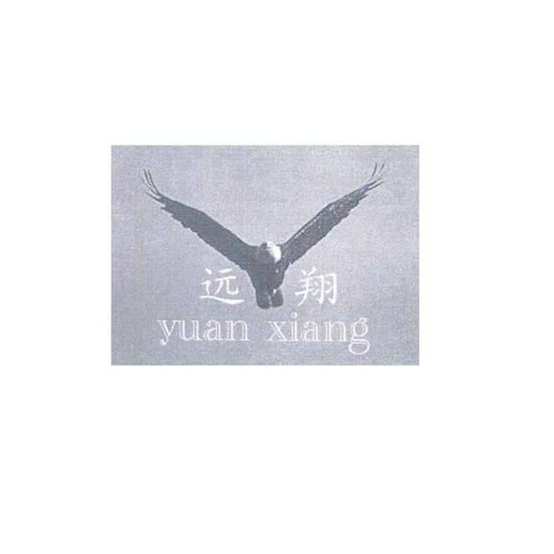 远翔