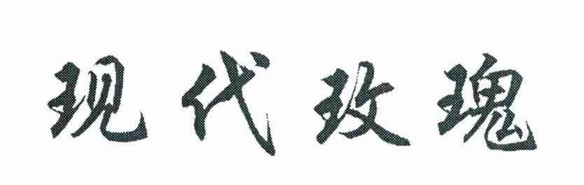 现代玫瑰
