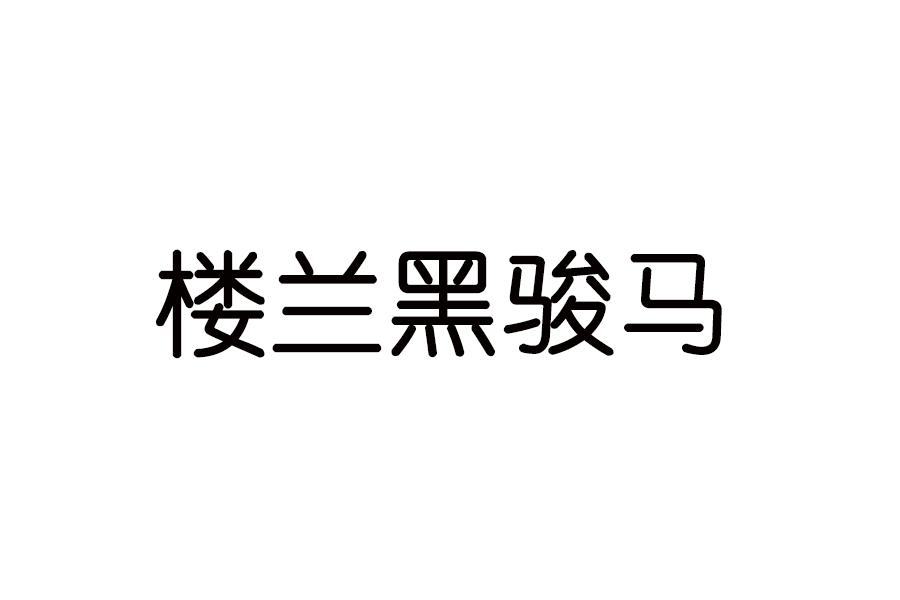 楼兰黑骏马